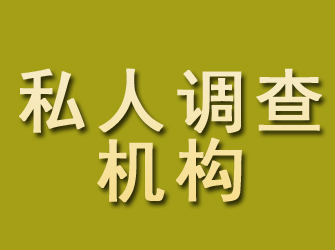 阳山私人调查机构